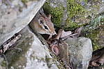 Click to see Y_DSF1764.JPG