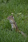Click to see Y_DSF1840.JPG