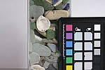 Click to see Y_DSF1866-ISO-LO-100.JPG