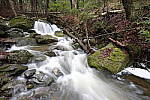 Click to see Y_DSF2115.JPG