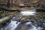 Click to see Y_DSF2135-MOD.JPG