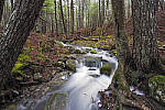 Click to see Y_DSF2146-MOD.JPG