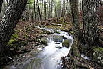 Click to see Y_DSF2146.JPG