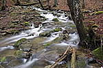 Click to see Y_DSF2153.JPG