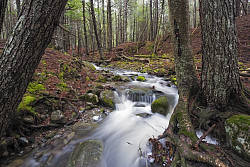 Fujifilm X-T20 field test photo