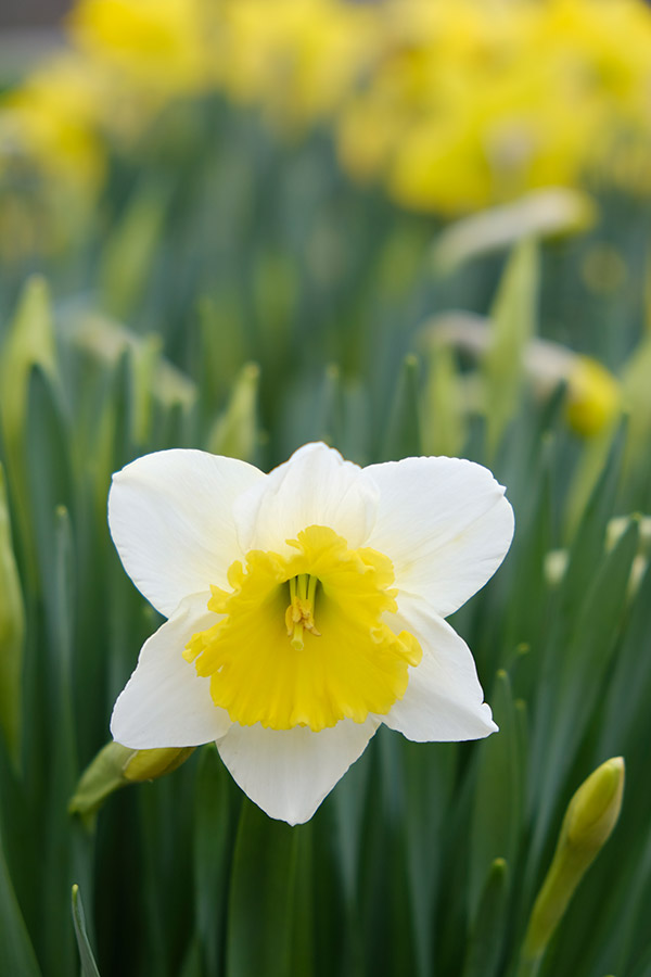 Fuji X-T20 Review: Field Test -- Gallery Image