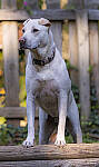 Click to see Y-DP-0045-EDT.JPG