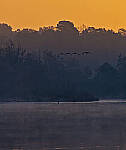 Click to see Y-DP-0054-EDT.JPG