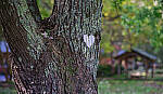 Click to see Y-DP-0137-EDT.JPG