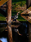 Click to see Y-200mm-5837-EDT.JPG