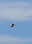 Click to see Y-200mm-5848-EDT.JPG