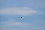 Click to see Y-200mm-5848.JPG