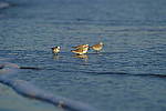 Click to see Y-200mm-5865.JPG