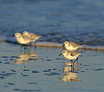 Click to see Y-200mm-5867-EDT.JPG