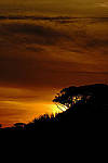 Click to see Y-200mm-5890-EDT.JPG