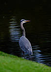 Click to see Y-200mm-5982-EDT.JPG