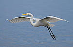 Click to see Y-200mm-6027-EDT.JPG