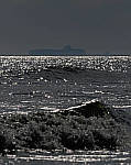 Click to see Y-200mm-6137-EDT.JPG