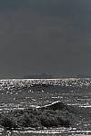Click to see Y-200mm-6137.JPG