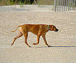 Click to see Y-200mm-6156-EDT.JPG