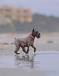 Click to see Y-200mm-6210-EDT.JPG