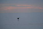 Click to see Y-200mm-6238.JPG
