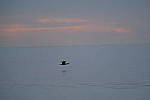 Click to see Y-200mm-6239.JPG