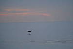 Click to see Y-200mm-6240.JPG