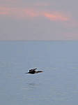 Click to see Y-200mm-6241-EDT.JPG