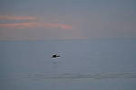 Click to see Y-200mm-6241.JPG