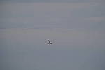 Click to see Y-200mm-6249.JPG