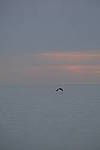 Click to see Y-200mm-6253.JPG