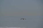 Click to see Y-200mm-6267.JPG