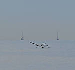 Click to see Y-200mm-6273-EDT.JPG