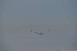 Click to see Y-200mm-6273.JPG