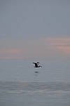Click to see Y-200mm-6278.JPG