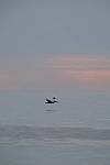 Click to see Y-200mm-6279.JPG
