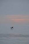 Click to see Y-200mm-6280.JPG