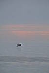 Click to see Y-200mm-6281.JPG
