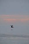 Click to see Y-200mm-6282.JPG