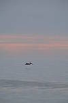 Click to see Y-200mm-6283.JPG