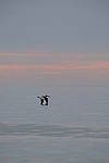 Click to see Y-200mm-6284.JPG