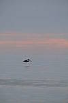 Click to see Y-200mm-6285.JPG