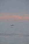 Click to see Y-200mm-6287.JPG
