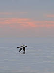 Click to see Y-200mm-6288-EDT.JPG