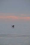 Click to see Y-200mm-6288.JPG