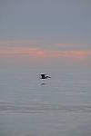 Click to see Y-200mm-6289.JPG