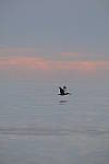 Click to see Y-200mm-6290.JPG