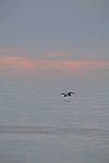 Click to see Y-200mm-6291.JPG