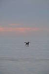 Click to see Y-200mm-6292.JPG
